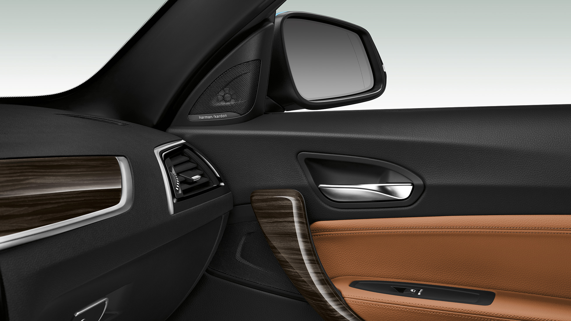BMW Serie 2 Convertible, panel de la puerta lateral BMW Serie 2 Convertible, panel de la puerta lateral